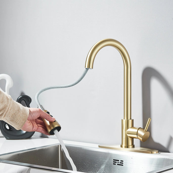 Chef’s Choice Single - Handle Kitchen Sink Faucet with Pull - Down Sprayer - Monsta Online