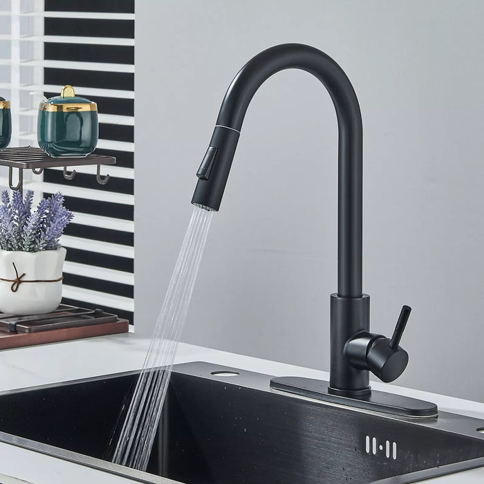 Ergonomic Single - Handle Pull - Down Kitchen Faucet with Pull Down Sprayer - Monsta Online