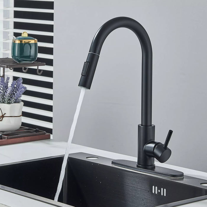 Ergonomic Single - Handle Pull - Down Kitchen Faucet with Pull Down Sprayer - Monsta Online