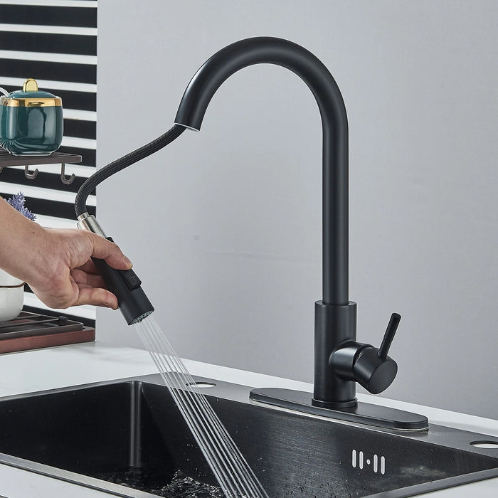 Ergonomic Single - Handle Pull - Down Kitchen Faucet with Pull Down Sprayer - Monsta Online