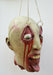 Life - Size Halloween Hanging Zombie Head Creepy Prop - Monsta Online