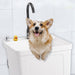 1 - Basin Freestanding Utility Laundry Sink with Stainless Steel Faucet and Drainboard - Monsta Online