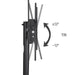 Height Adjustable Rolling TV Stand with Storage Shelves for 32–75 Inch Screens - Monsta Online