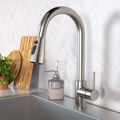 Chef’s Choice Single - Handle Kitchen Sink Faucet with Pull - Down Sprayer - Monsta Online