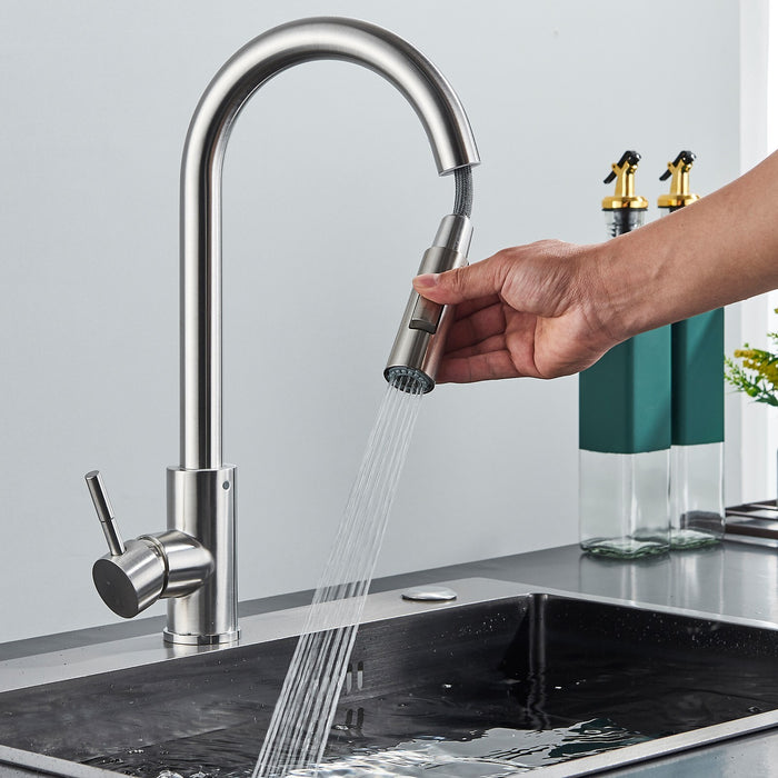Ergonomic Single - Handle Pull - Down Kitchen Faucet with Pull Down Sprayer - Monsta Online