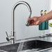 Ergonomic Single - Handle Pull - Down Kitchen Faucet with Pull Down Sprayer - Monsta Online