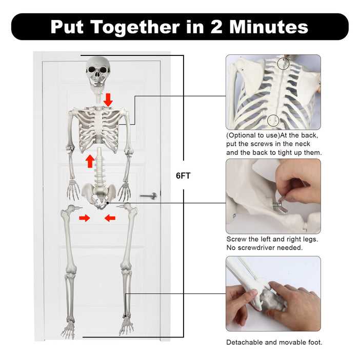 6FT Creepy Halloween Hanging Skeleton Decoration - Monsta Online