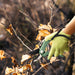 Durable Anvil Pruning Shears 8mm with Stainless Steel Precision Blade - Monsta Online