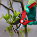 Durable Anvil Pruning Shears 8mm with Stainless Steel Precision Blade - Monsta Online