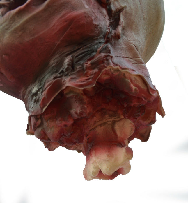 Life - Size Halloween Hanging Zombie Head Creepy Prop - Monsta Online