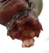 Life - Size Halloween Hanging Zombie Head Creepy Prop - Monsta Online