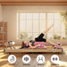 Premium Wooden Pilates Reformer Machine for Home and Studio Workouts - Monsta Online