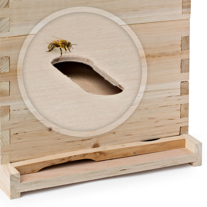 Durable 20 Frame Langstroth Beehive Starter Kit with Deep and Medium Boxes - Monsta Online