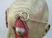 Life - Size Halloween Hanging Zombie Head Creepy Prop - Monsta Online