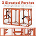 Large Wooden Catio Outdoor Cat Enclosure for Multiple Cats and Playtime Freedom - Monsta Online