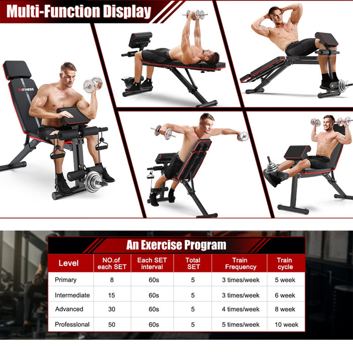 Premium Adjustable Weight Bench Foldable for Full Body Strength Training - Monsta Online