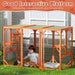 Large Wooden Catio Outdoor Cat Enclosure for Multiple Cats and Playtime Freedom - Monsta Online