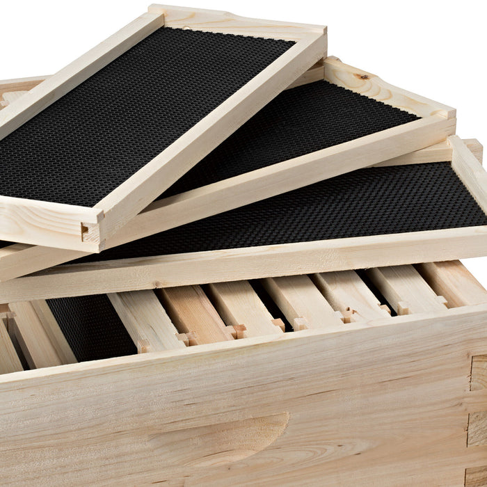 Durable 20 Frame Langstroth Beehive Starter Kit with Deep and Medium Boxes - Monsta Online