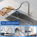 Ergonomic Single - Handle Pull - Down Kitchen Faucet with Pull Down Sprayer - Monsta Online