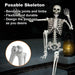 5.5FT Realistic Halloween Hanging Skeleton for Creepy Yard Decoration - Monsta Online
