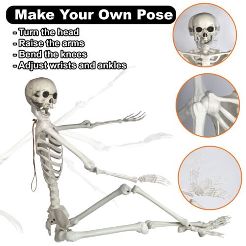 5.5FT Realistic Halloween Hanging Skeleton for Creepy Yard Decoration - Monsta Online
