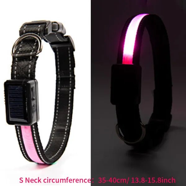 Solar and USB Rechargeable LED Dog Collar Waterproof Light Up for Night Safety - Monsta Online