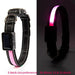 Solar and USB Rechargeable LED Dog Collar Waterproof Light Up for Night Safety - Monsta Online