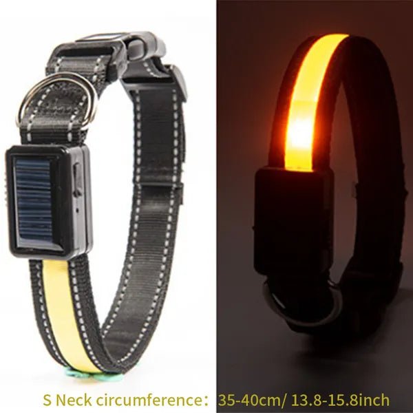 Solar and USB Rechargeable LED Dog Collar Waterproof Light Up for Night Safety - Monsta Online
