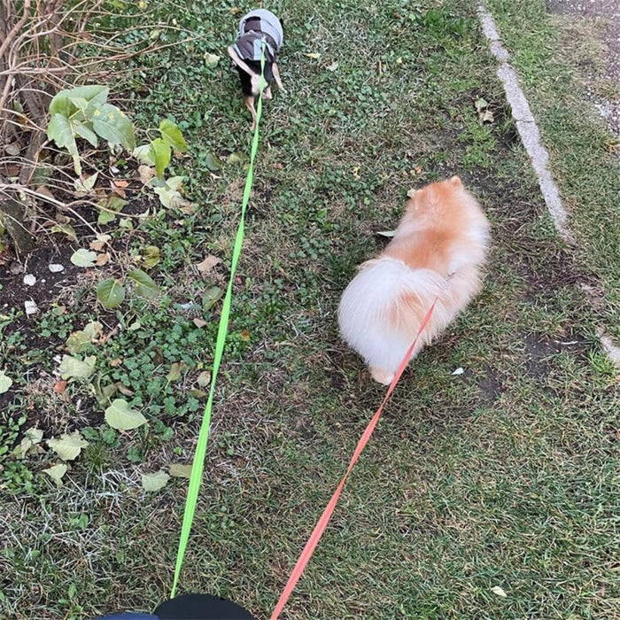 Tangle - Free Dual Dog Leash – 360° Swivel Double Lead for Puppies & Adult Dogs - Monsta Online